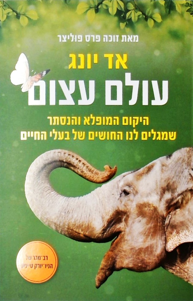 עולם עצום - היקום המופלא והנסתר שמגלים לנו