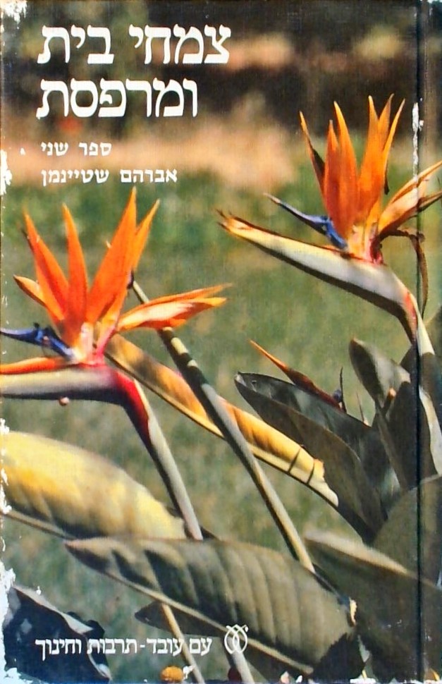 צמחי בית ומרפסת ב