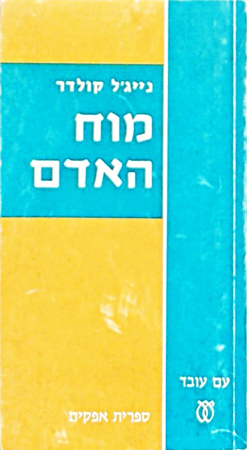 מוח האדם