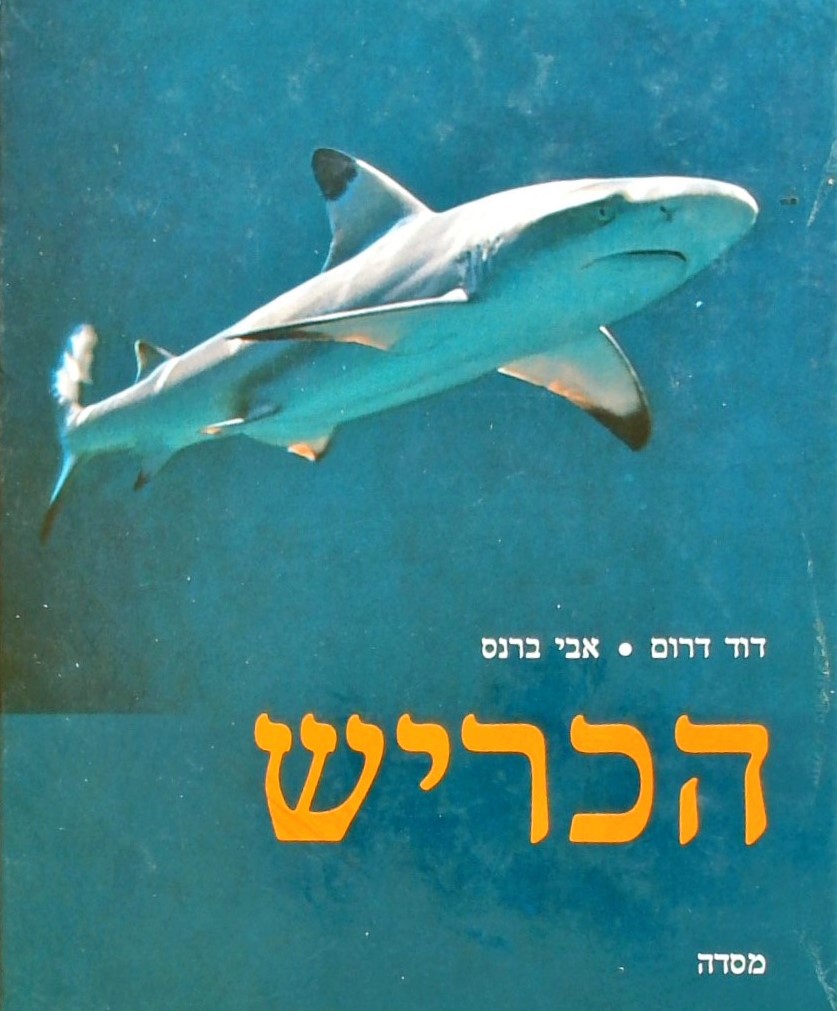 הכריש-סדרת חצב