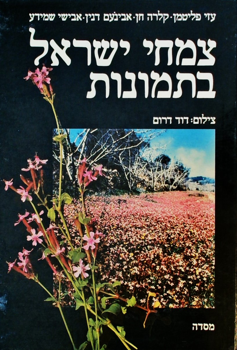 צמחי ישראל בתמונות