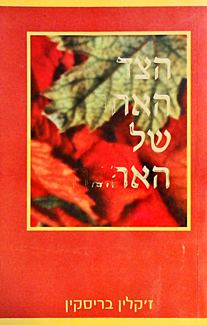 הצד האחר של האהבה