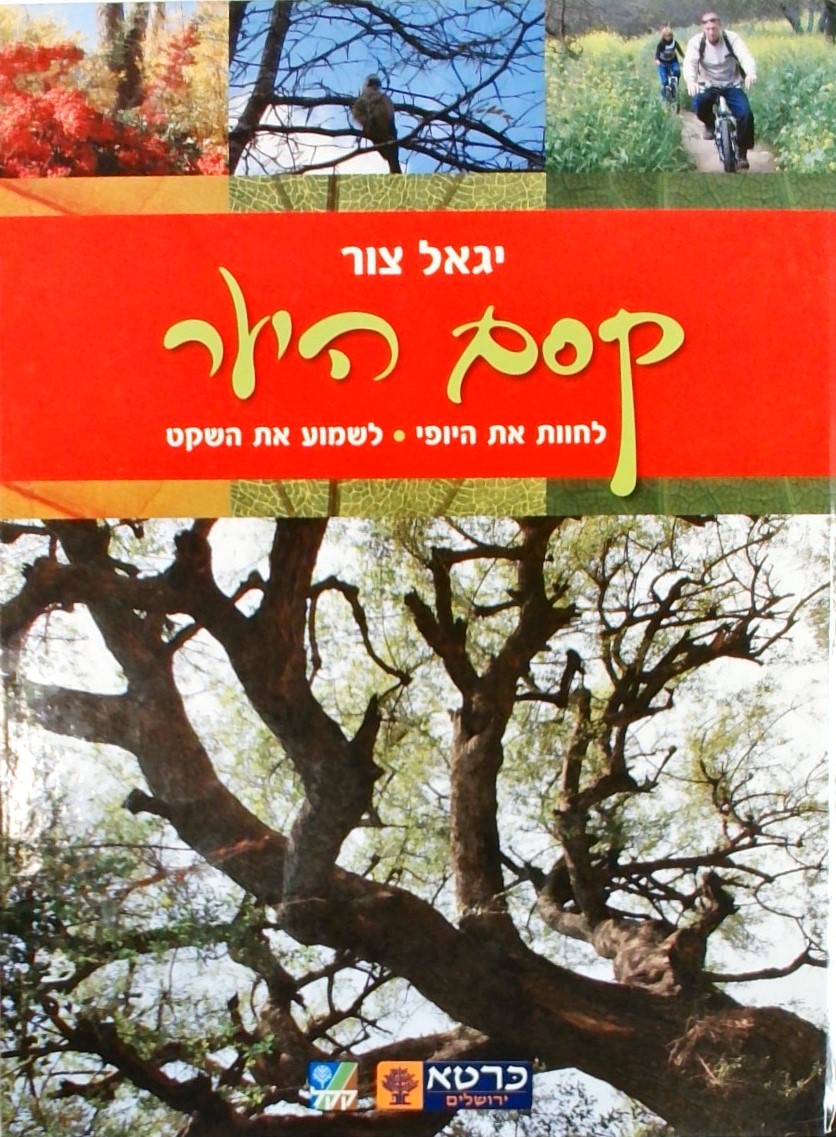 קסם היער