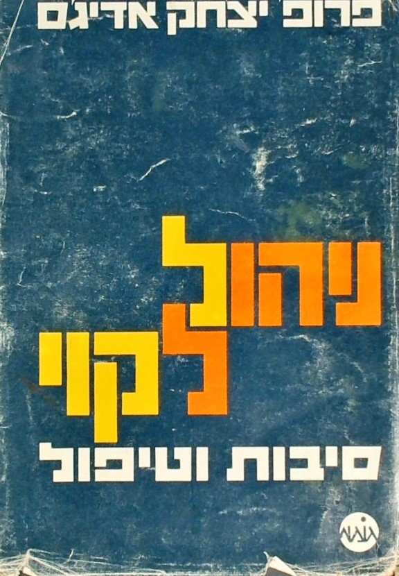 ניהול לקוי - סיבות וטיפול