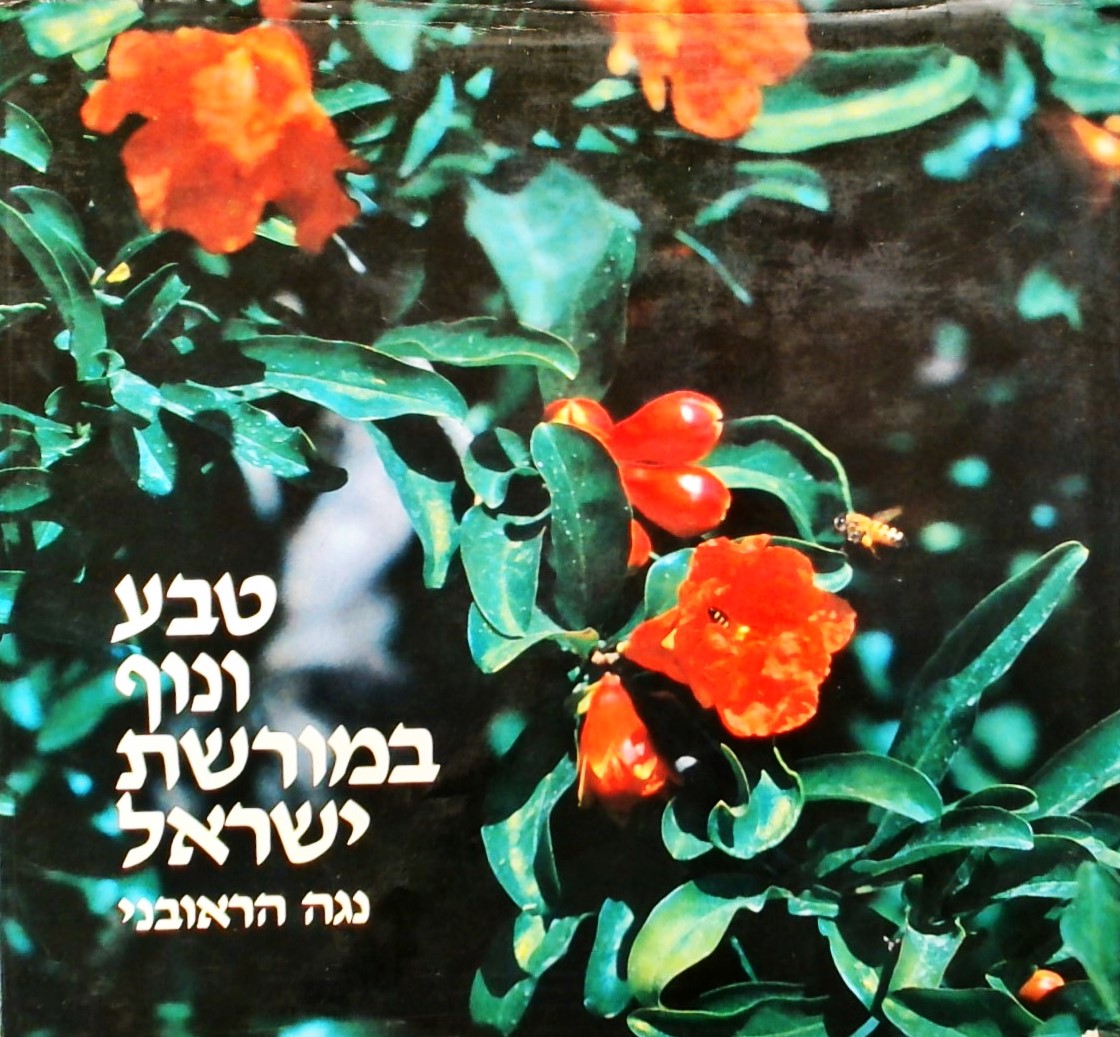 טבע ונוף במורשת ישראל