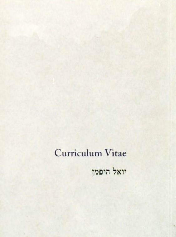 CURRICULUM VITAE