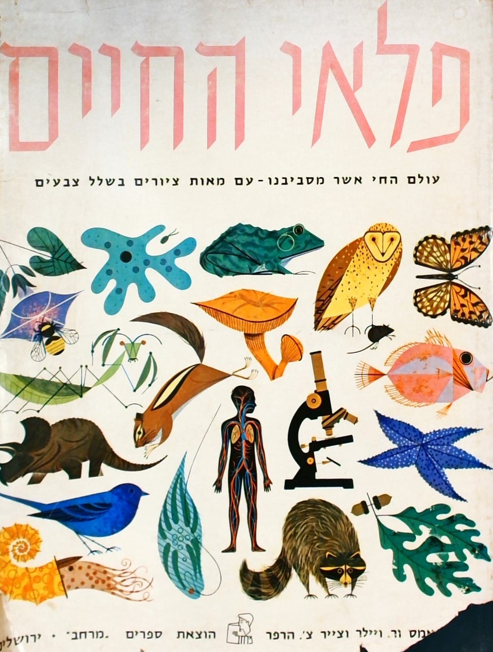 פלאי החיים/ - עולם החי אשר מסביבנו - עם מאות ציורי