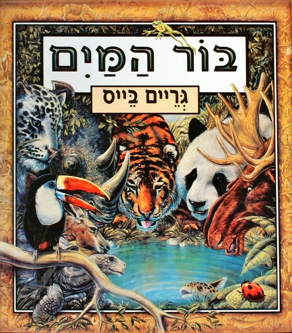 בור המים (פורמט אלבומי מהודר)