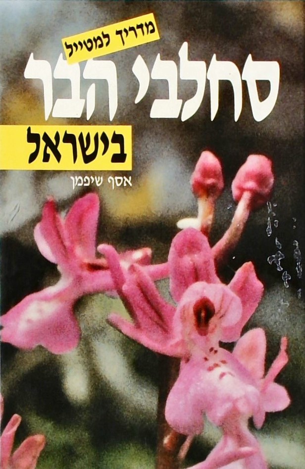 סחלבי הבר בישראל-מדריך למטייל