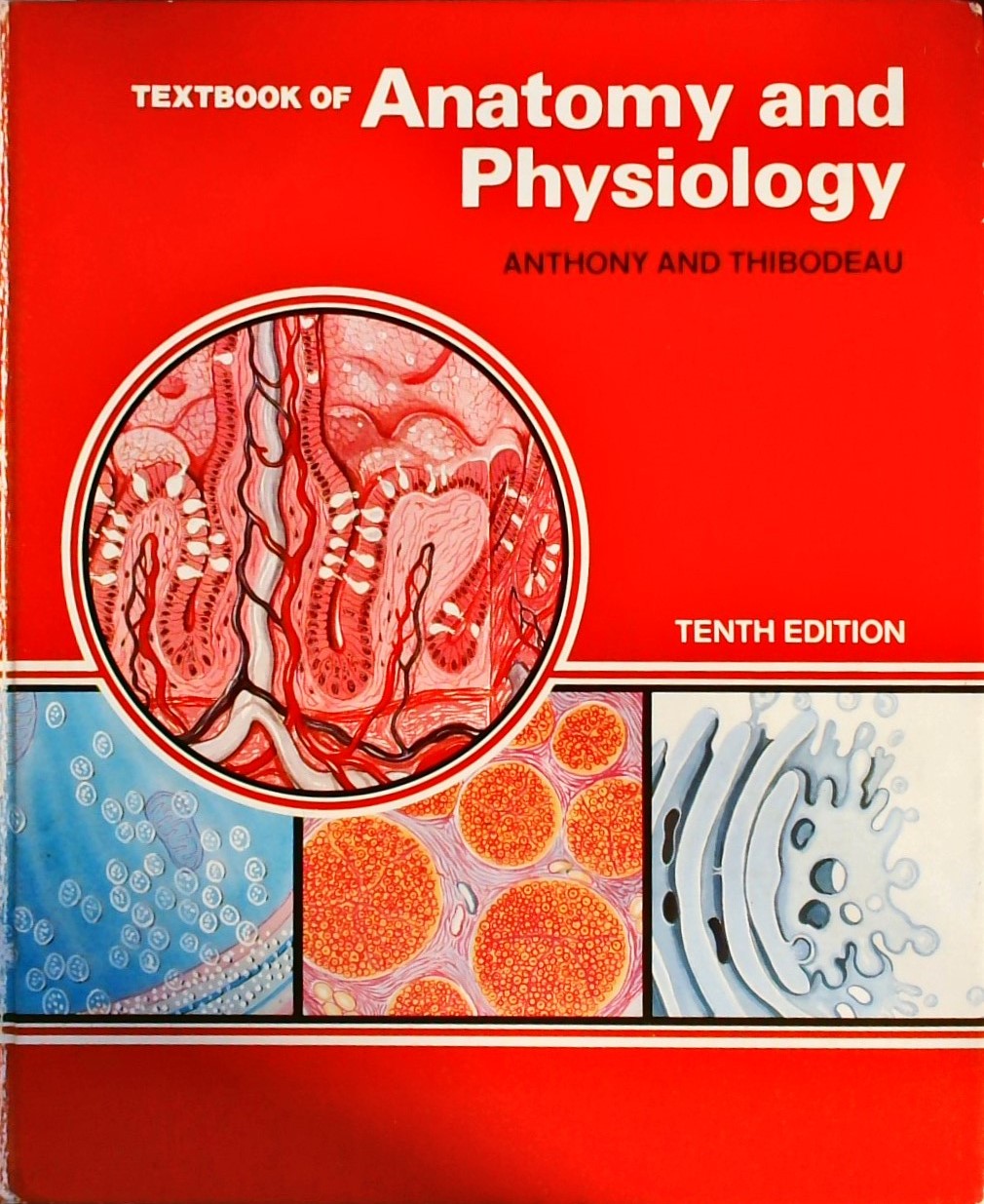 TEXTBOOK OF ANATOMY AND PHYSIOLOGY