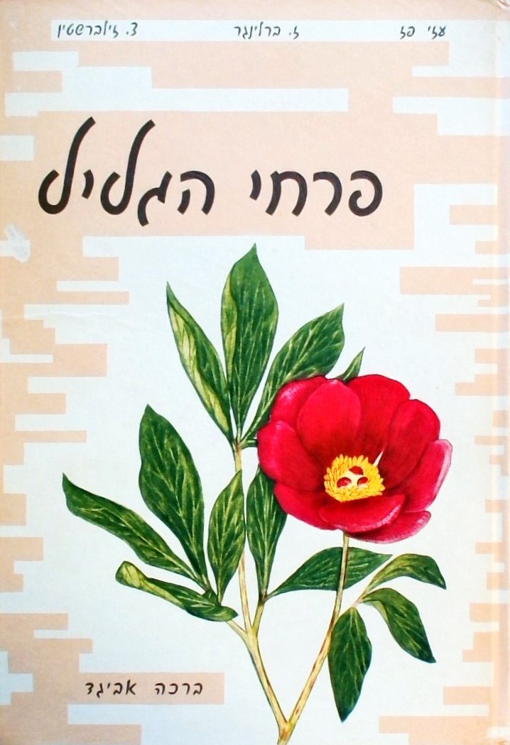 פרחי הגליל