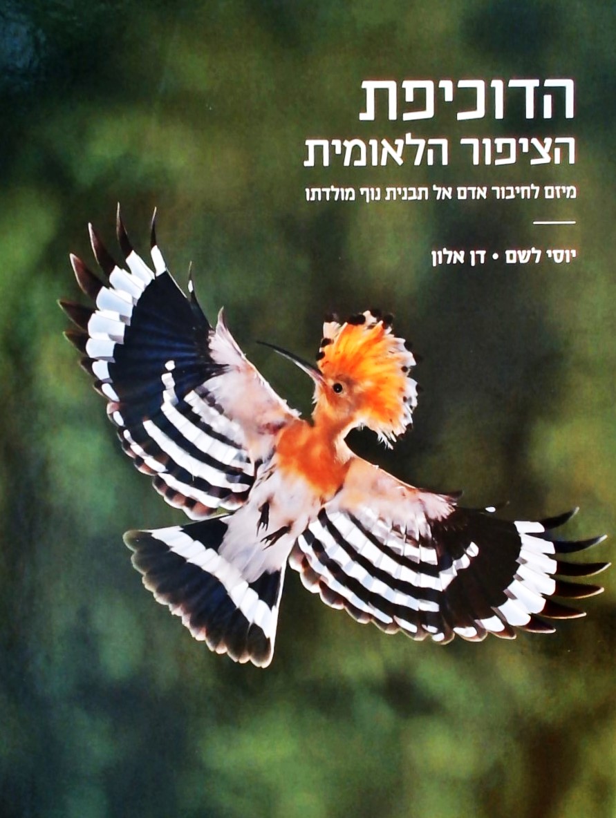 הדוכיפת - הציפור הלאומית