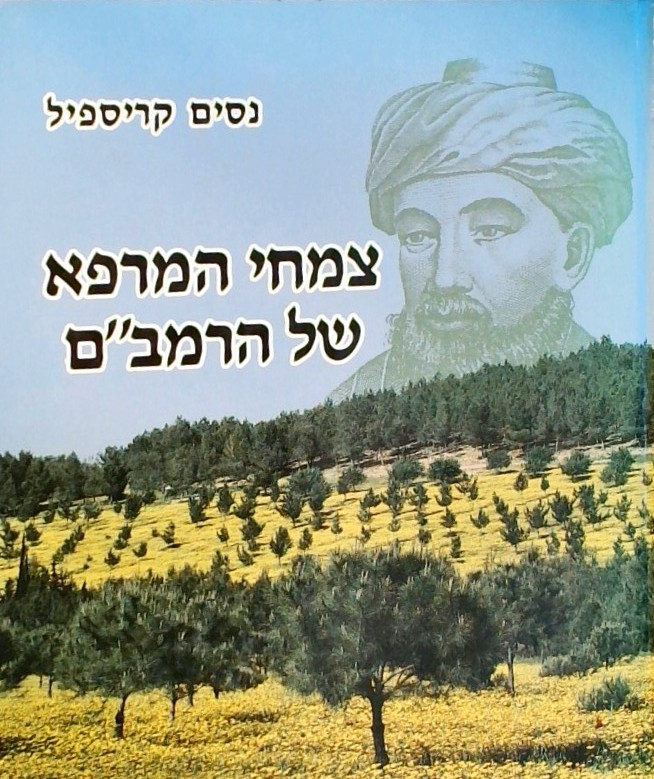 צמחי המרפא של הרמב"ם