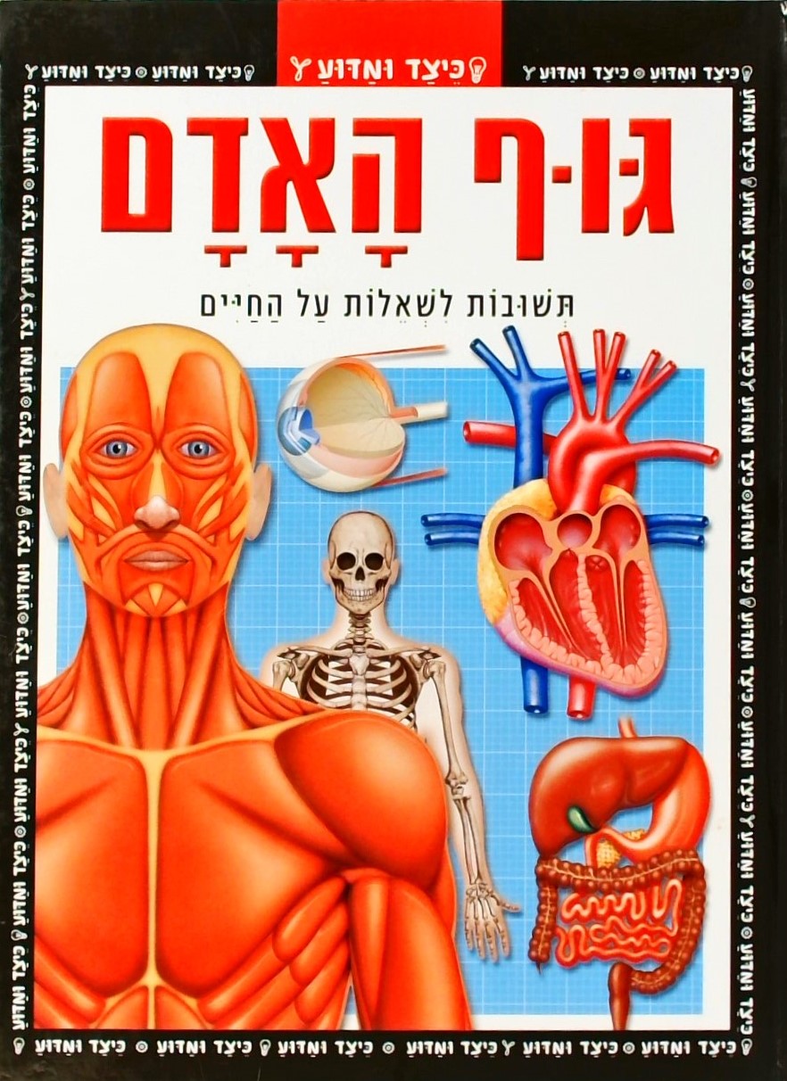 כיצד ומדוע: גוף האדם - תשובות לשאלות על החיים