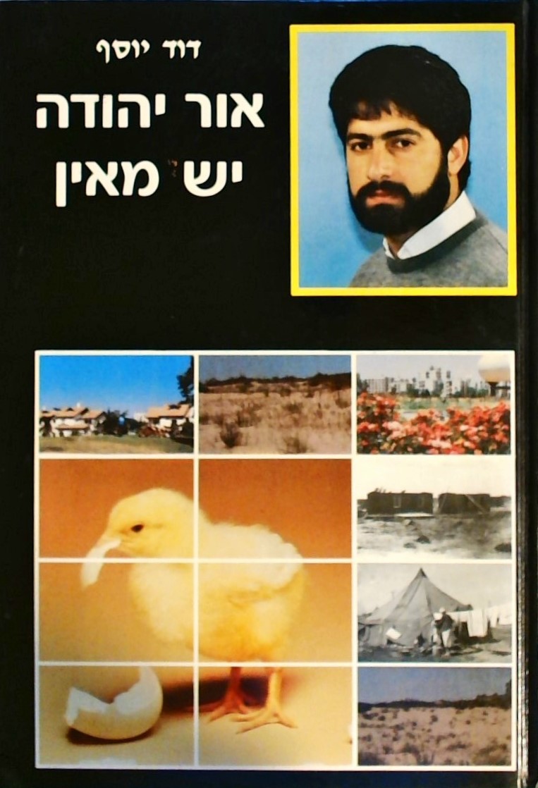 אור יהודה יש מאין - התהוותה של עיר