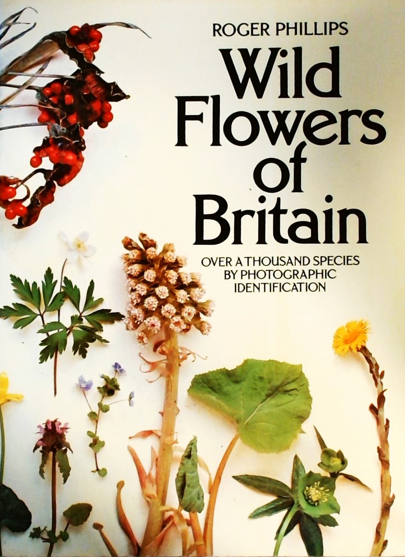 WILD FLOWERS OF BRITAIN