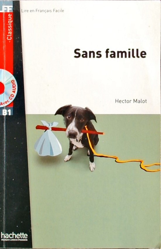 SANS FAMILLE-EN FRANCAIS FACILE