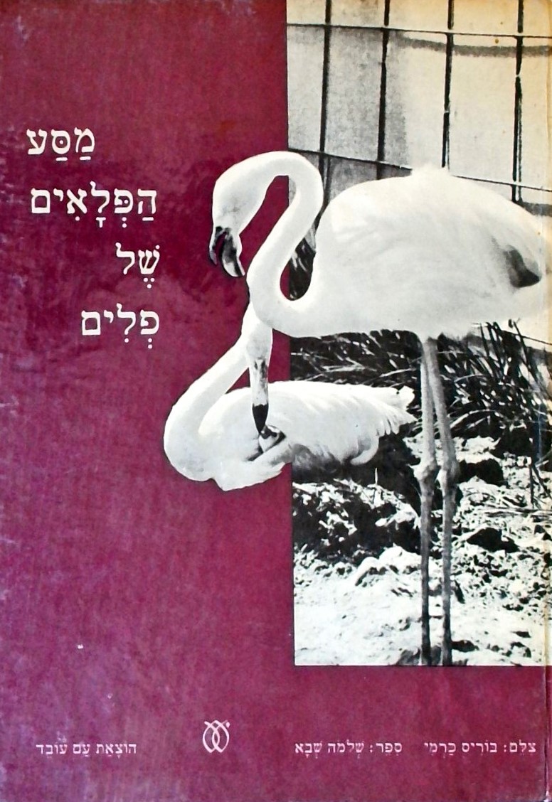 מסע הפלאים של פלים - צילום: בוריס כרמי