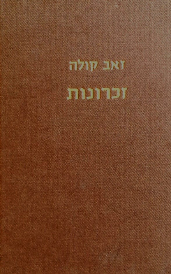 זכרונות (עותק מס