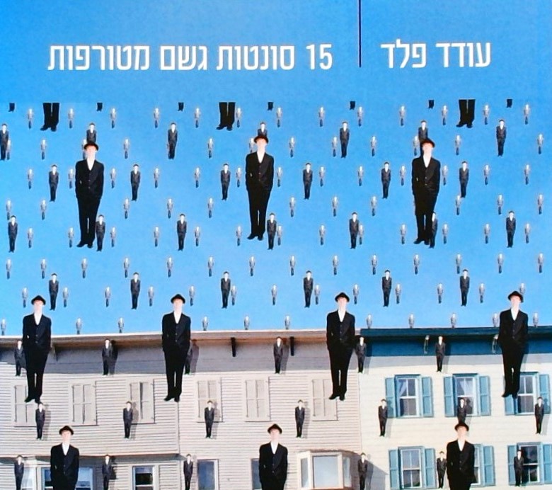 15 סונטות גשם מטורפות (ספרון)