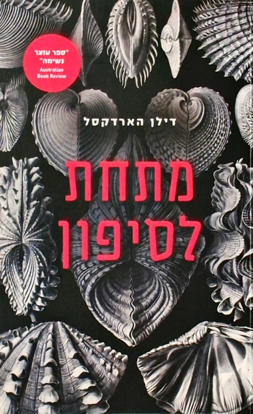 מתחת לסיפון